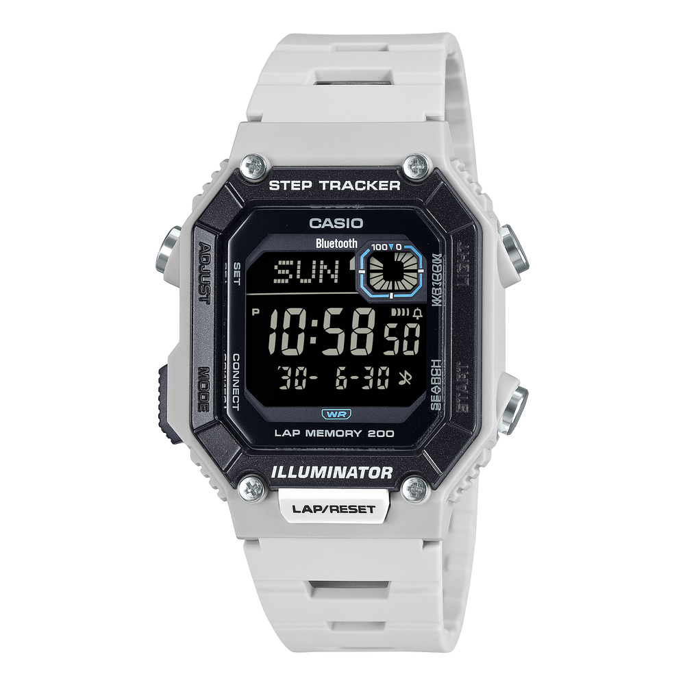 WSB1000-8BV Gray - Casio