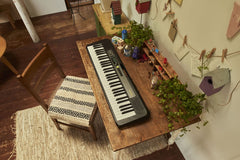 LK-S250 | Casiotone - Casio