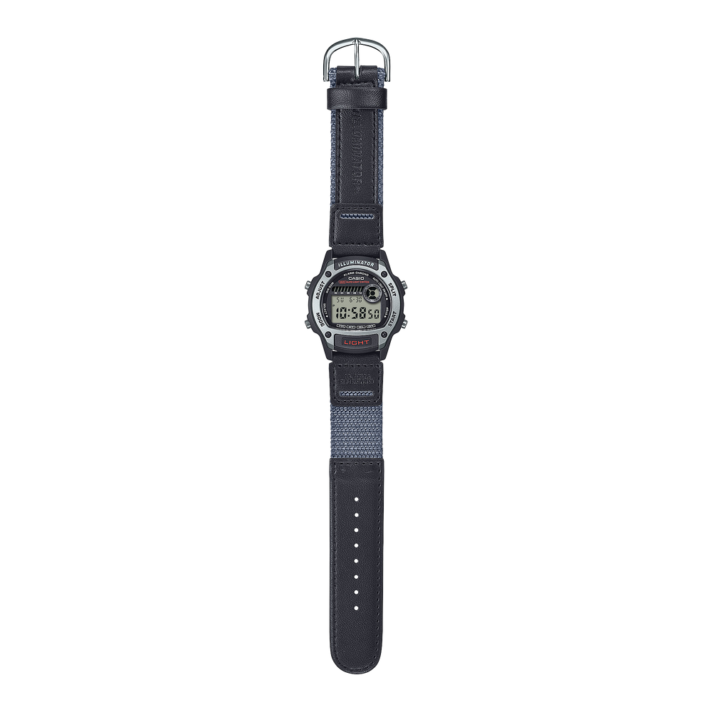 W220HF-8AV Silver - Casio