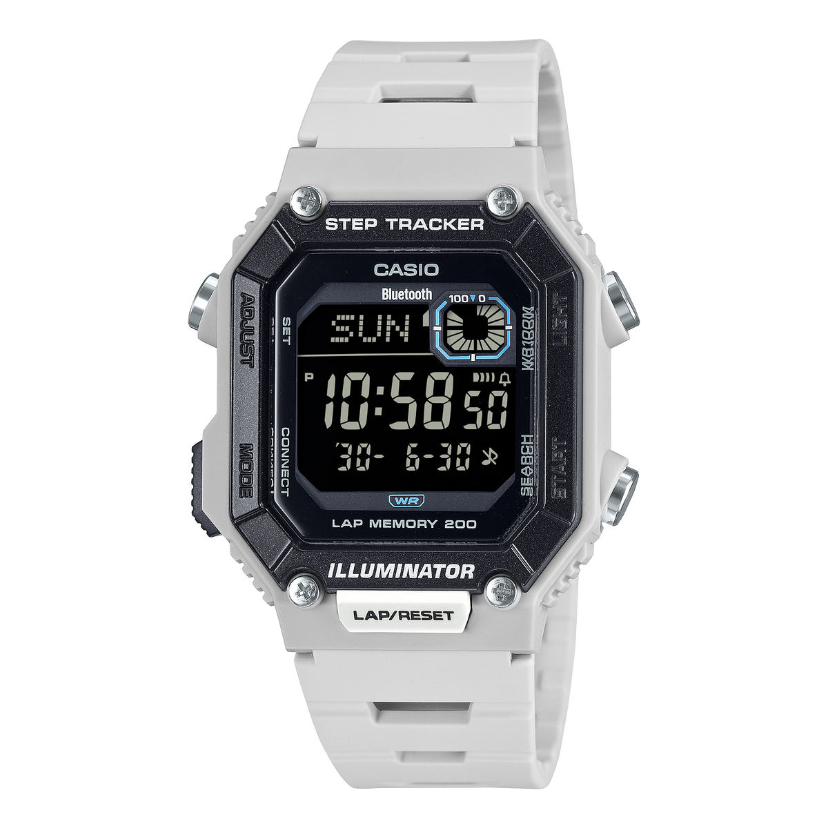 WSB1000-8BV Gray - Casio