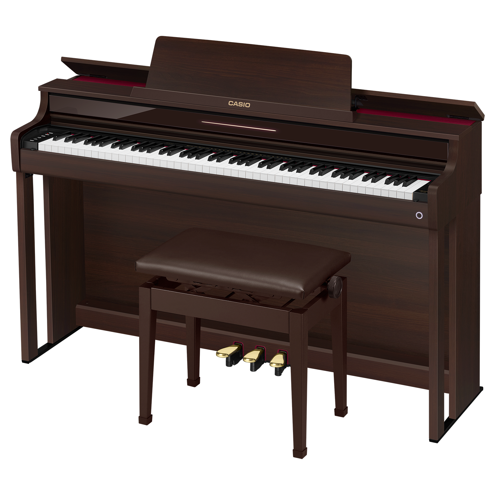 AP-550BN | CELVIANO - Casio