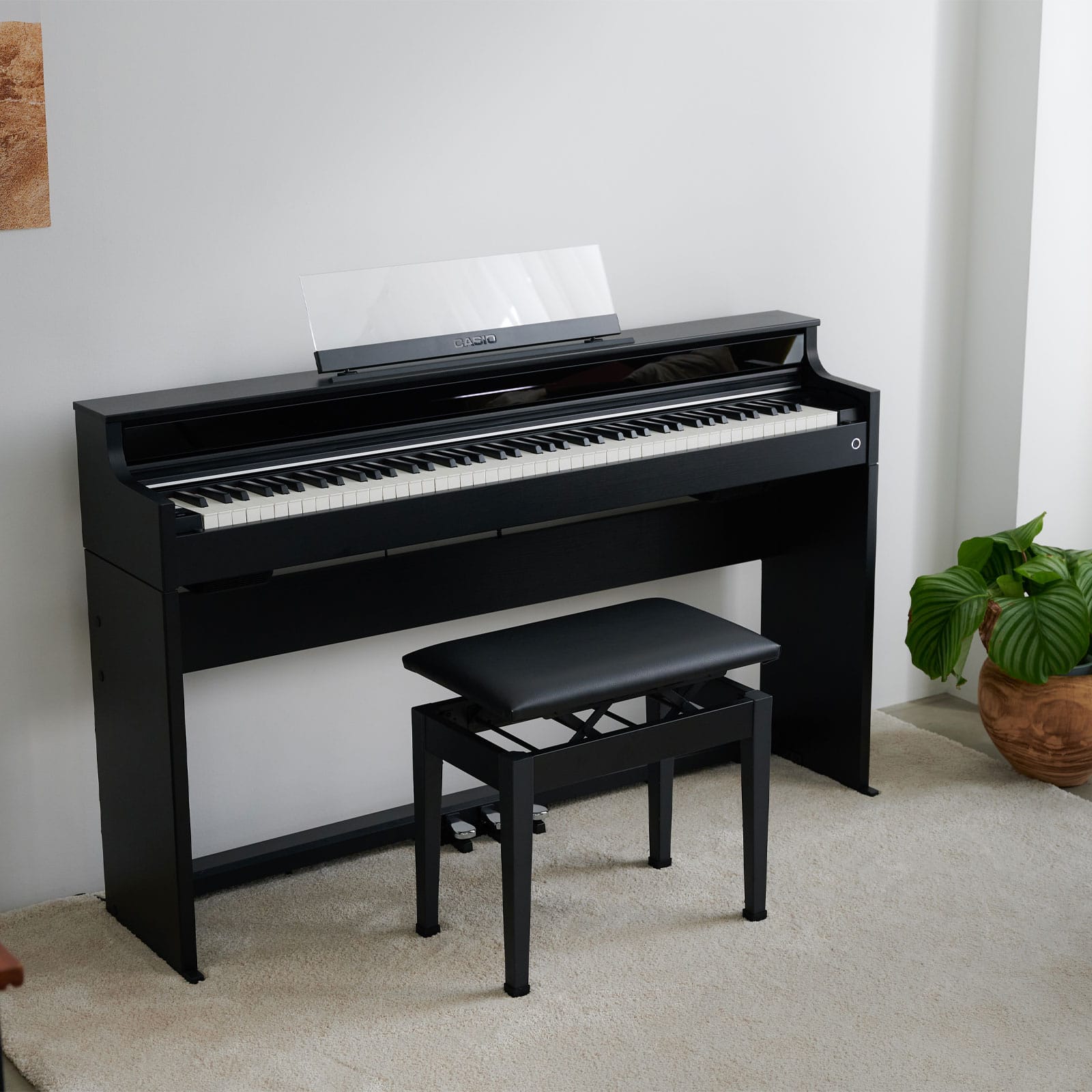 AP-S450BK | CELVIANO - Casio